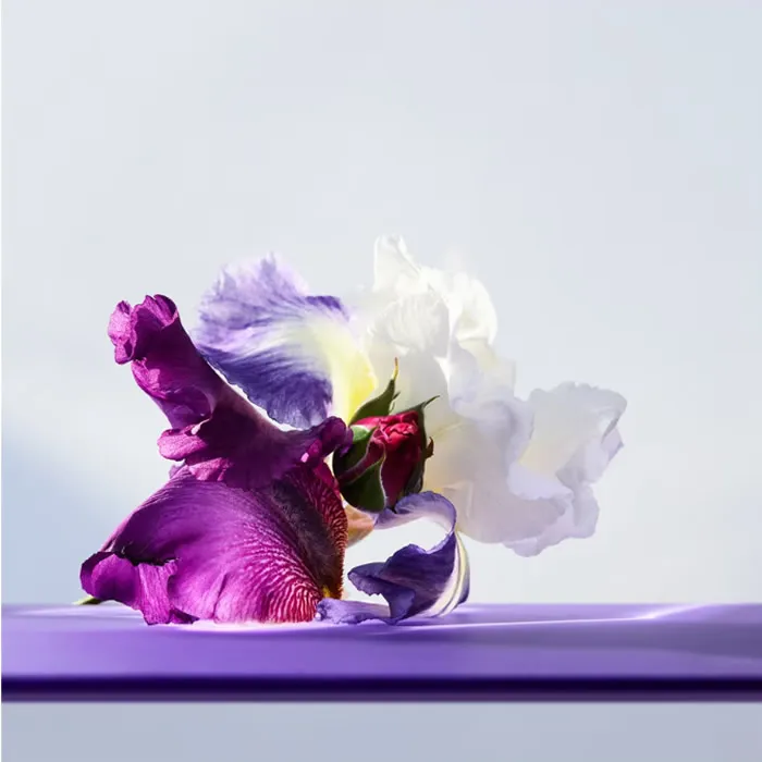 Bvlgari Onmia Amethyste Eau De Toilette Spray 50ml — foto 1