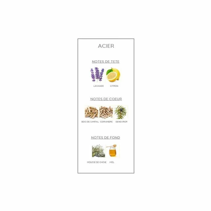 Bourjois Masculin Acier Eau De Toilette Spray 100ml — foto 1