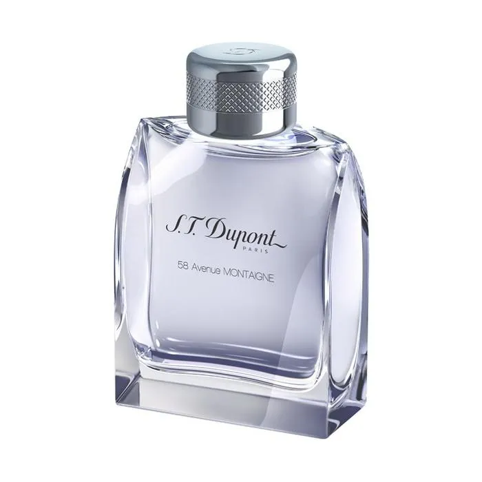 Dupont Noir Homme Eau de Toilette Spray 100 ml