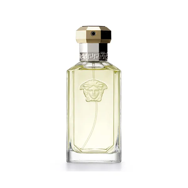 Versace The Dreamer Eau de Toilette Spray 100 ml