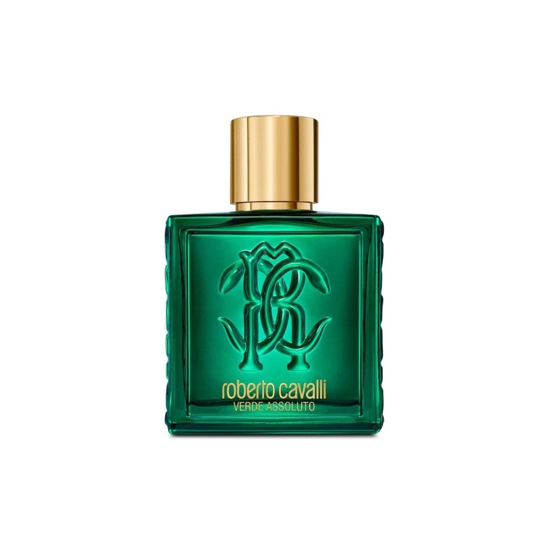 Roberto Cavalli Rc Uomo Verde Assoluto Edp 100ml Roberto Cavalli Rc Uomo Verde Assoluto Edp 100ml