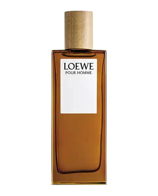 Loewe Pour Homme Edt 100 ml