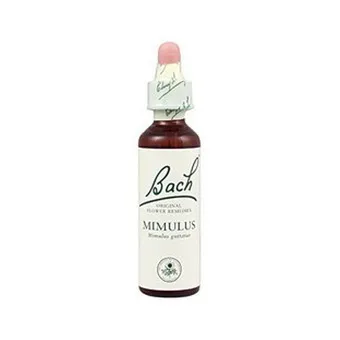 Bach 06 Cherry Plum 20ml