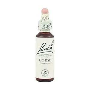 Bach 13 Gorse 20ml