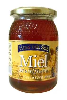 Miele multiflora Ynsadiet 500 g