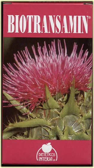 Intersa Bitransamin 60 Capsule