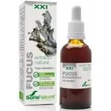 Estratto di Soria Fucus S Xxi 50 ml