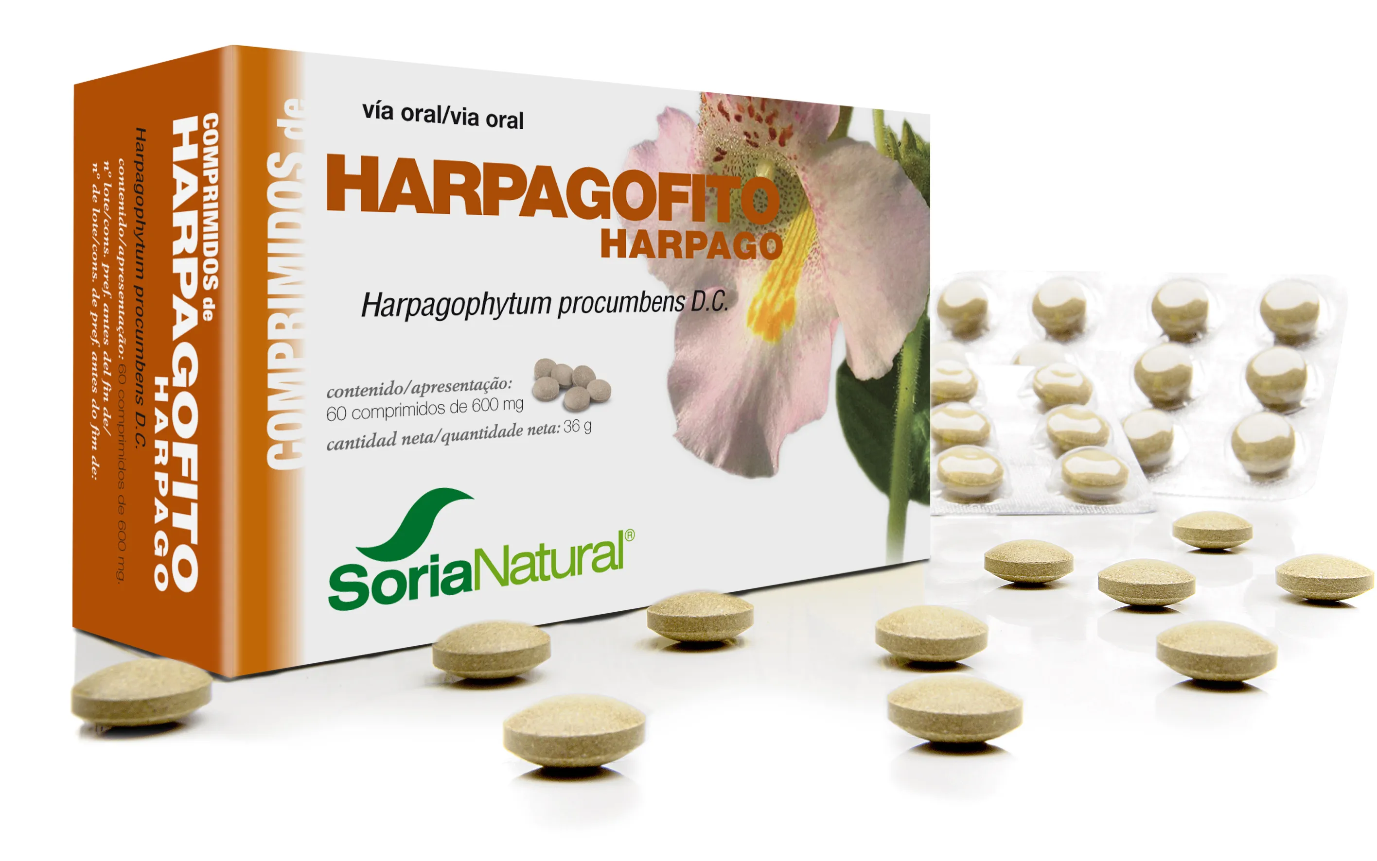 Soria Arpagofito 600 Mg 60 Comp