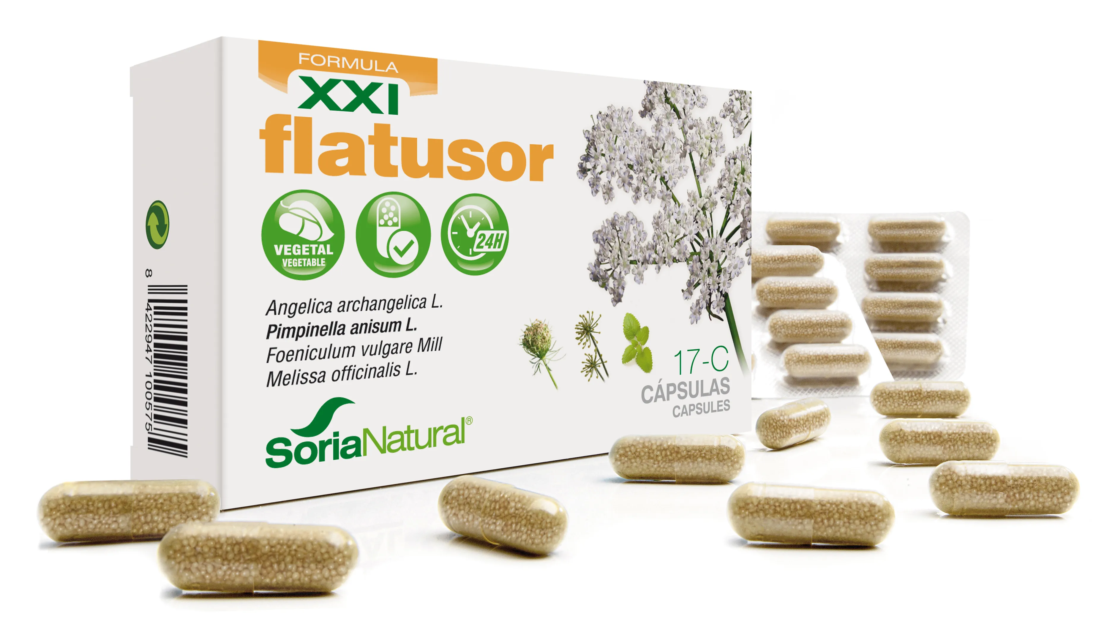 Soria 17-C Flatusor 30 capsule a rilascio prolungato S XXI