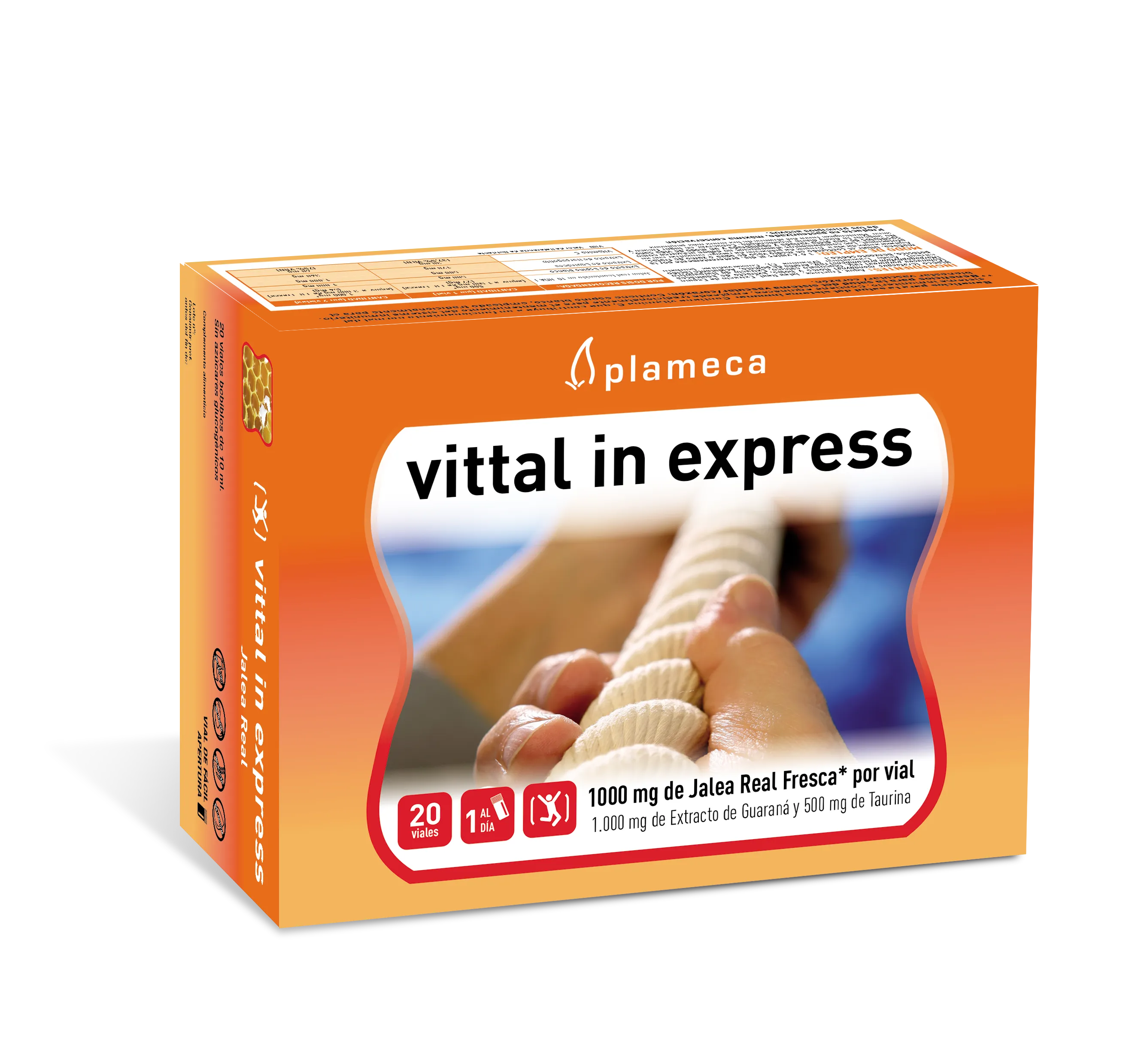 Planmeca Vittal In Express