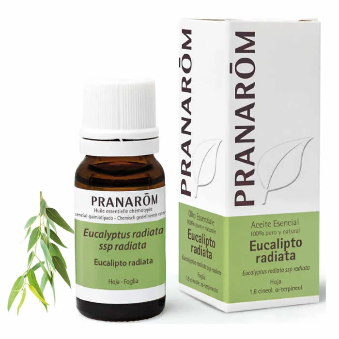 Pranarom Eucalyptus Radiata Essential Oil 10 ml