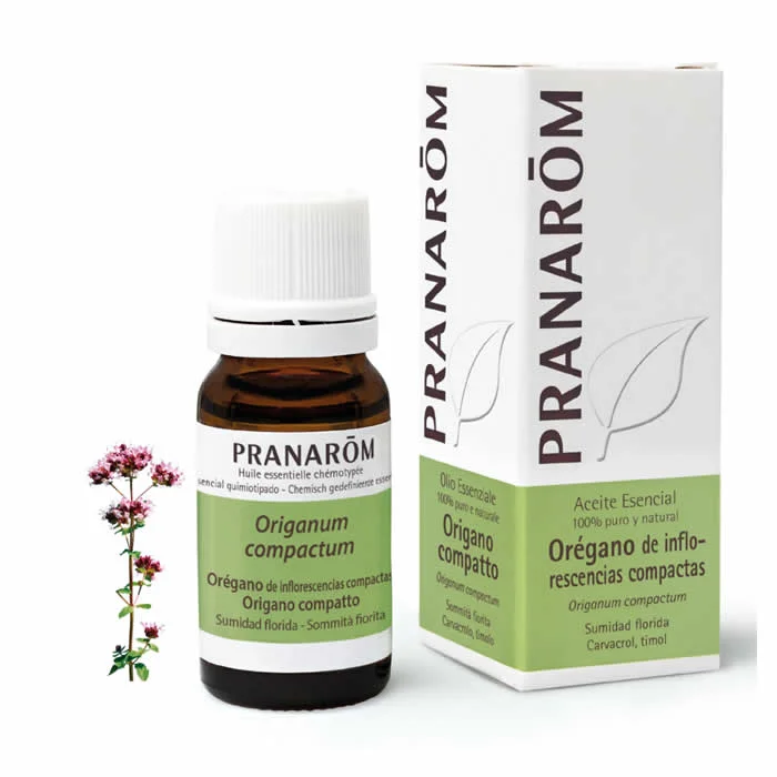 Pranarom Oregano Compact Flowering Top Essential Oil 10 ml