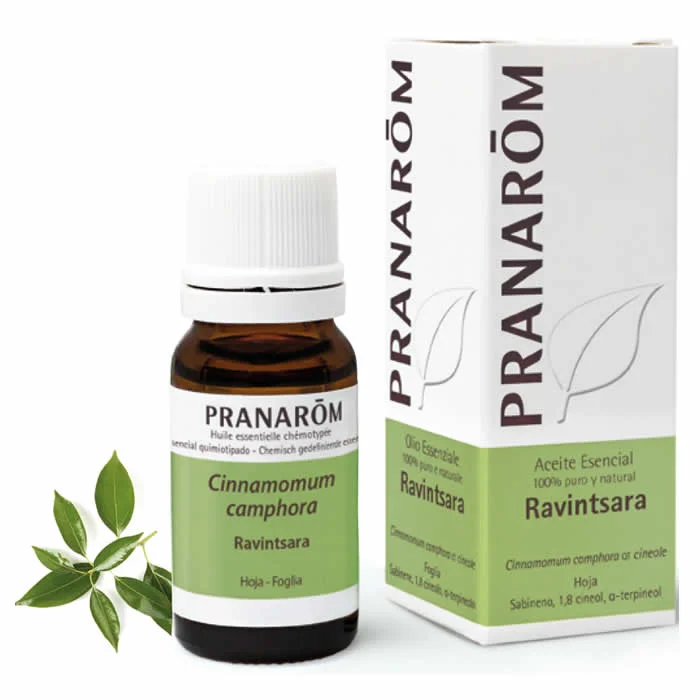 Pranarom Ravintsara Essential Oil 10 ml