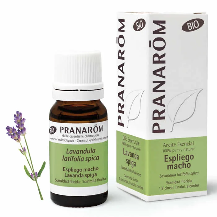 Pranarom Lavandula Latifolia Spica Bio 10 ml